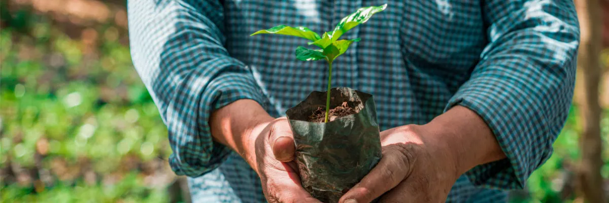 Sustainability landing page section image
