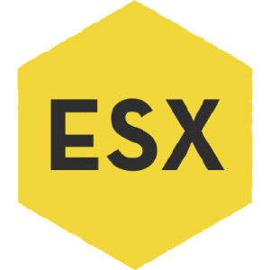 ESX logo
